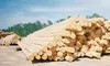Utility Poles And Timber Piling