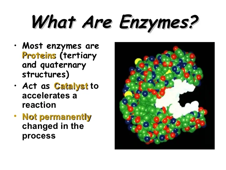 enzymes.jpg