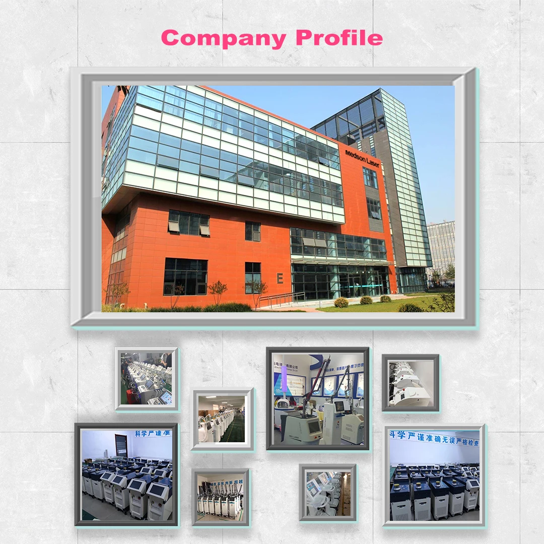 2 years warranty portable  picosecond 532nm 1064nm 1320nm 755nm yag laser machine