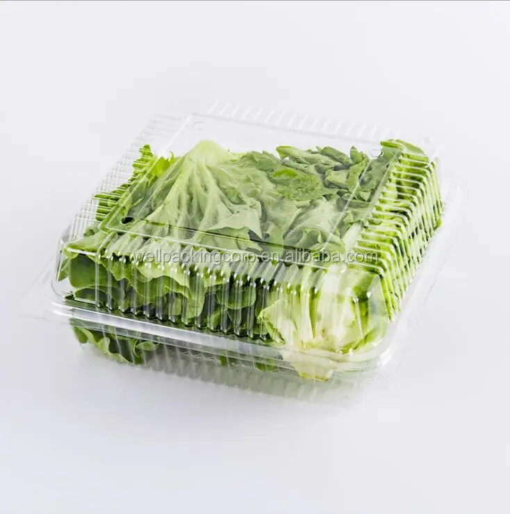 Popular Clamshell Packaging For Lettuce Buy Clamshell,Clamshell