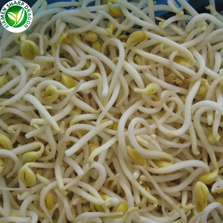
IQF Greenhouse green frozen mung bean sprouts 