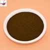 solvent dye basic violet 11 soluble in water