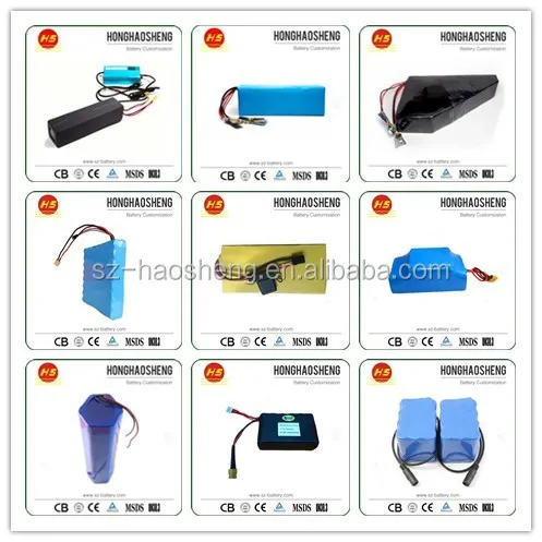 lithium ion battery-HHS Emma 1 .jpg