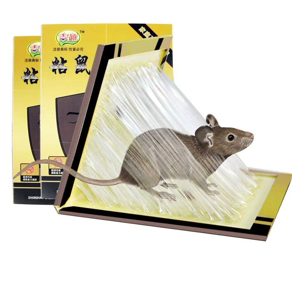 

Glue Rat Trap Pest Control Mouse Glue Rat Glue Trap For Mice with EPA, Yellow