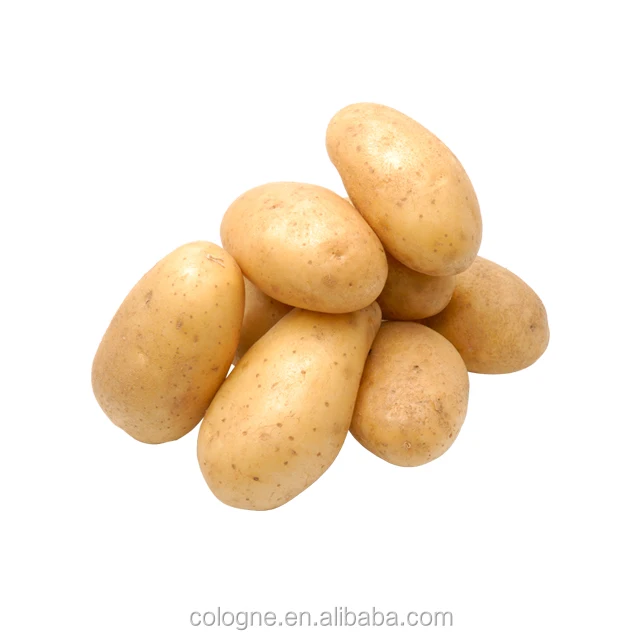 potato004
