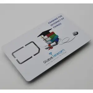 Programmable CDMA USIM SIM Card