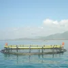 High Quality Deep Sea Floating Net Cage