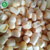 The regional channel partners pass FDA new cheap price crop canned sweet kernel vegetable corn