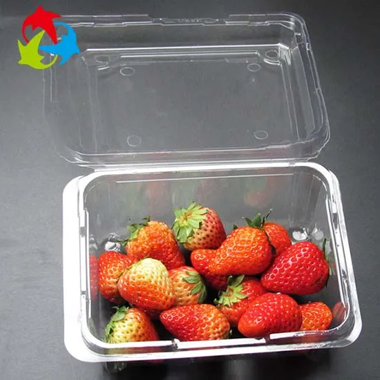 fruit blister packaging.jpg