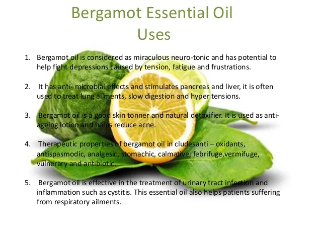 100 Pure Aroma Bergamot Oil Bergamot Essential Oil Buy Aroma