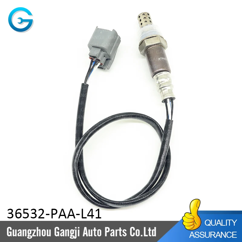 36532-PAA-L41--1.jpg