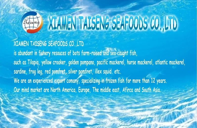 Frozen Fish Sardine For Bait On Sale Buy Sardine For Bait On Sale