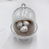 Easter Mini Foam Bird Eggs in the nest Handmade Artificial Sparrow Spring Egg Decoration New