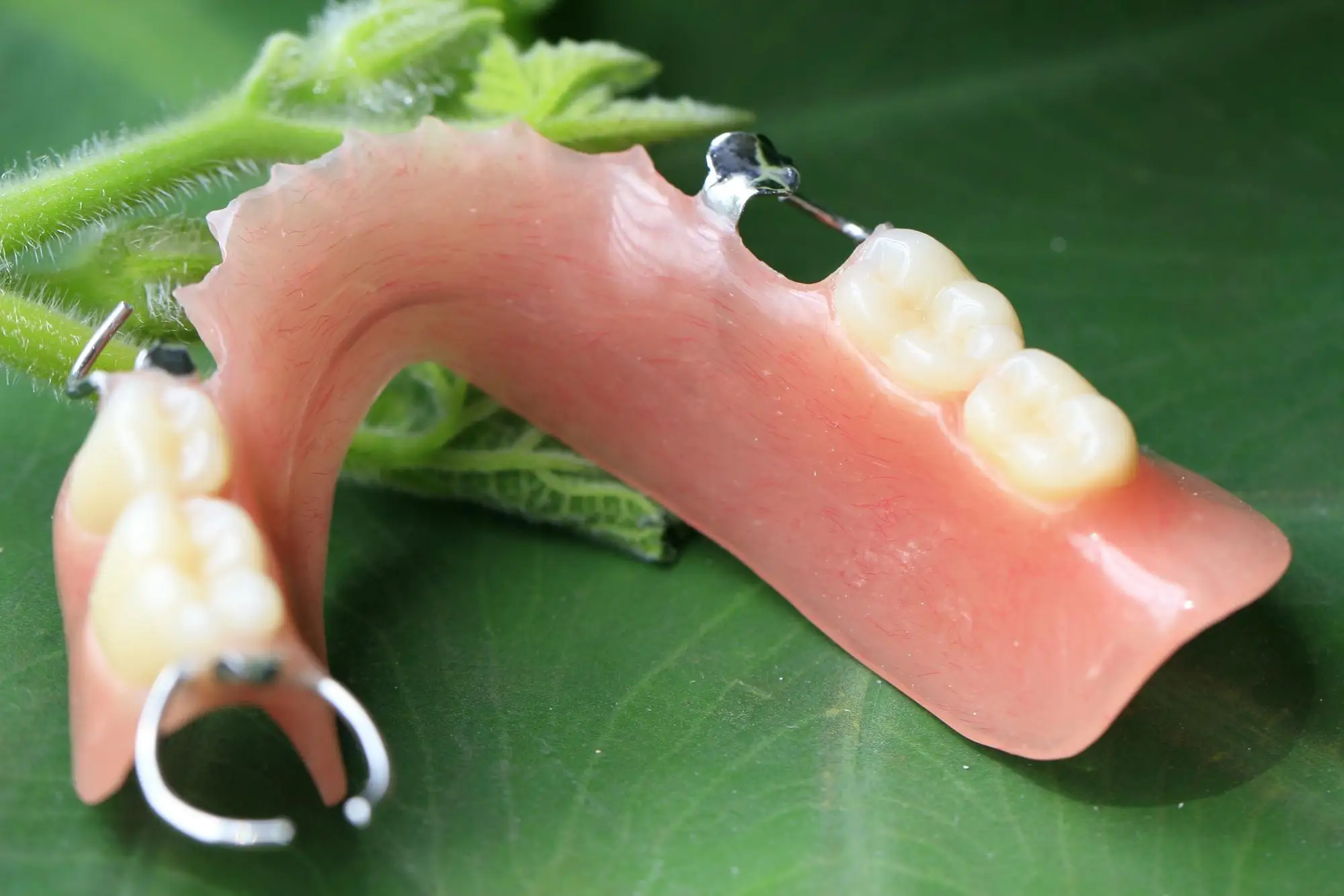 Removable Denture Elastic Material Denture Resin Buy Removable