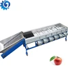 Popular Mango Sorting Blueberry Sorting Round Fruit Sorting machine