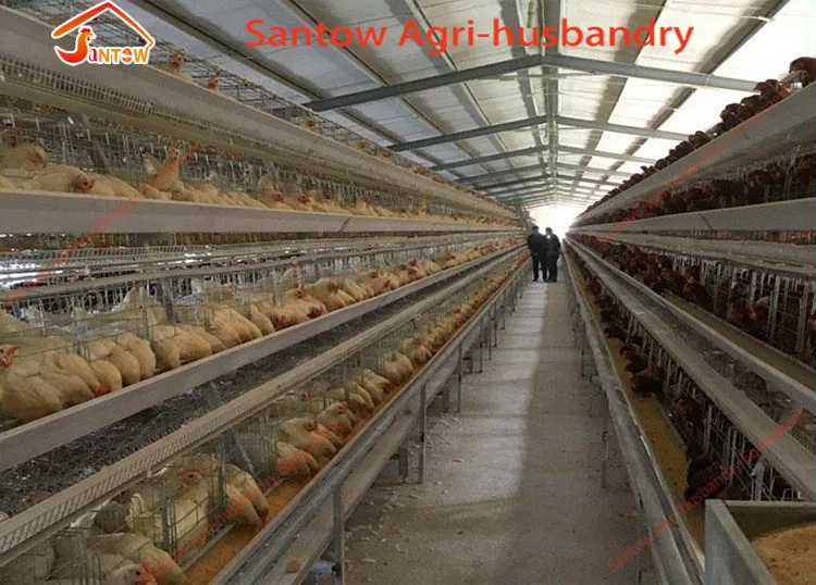 Download 4 Tier 120 Birds Chicken Layer Cages Price Battery Cage ...