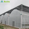 Multi span Plastic Shed/Film Green house for Vegetable/Flower