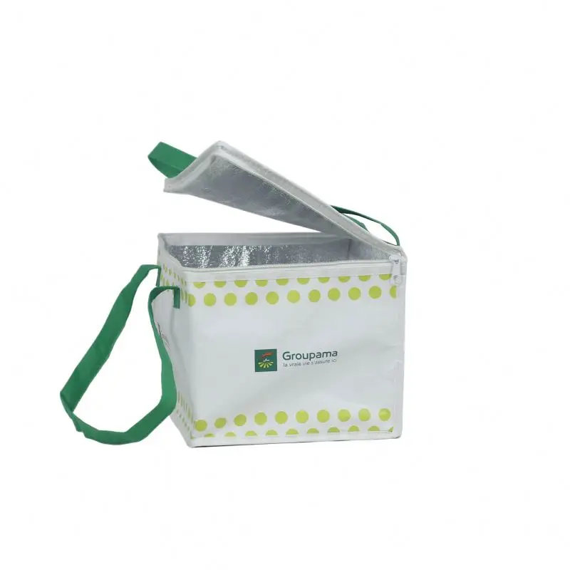 insulated freezer bags walmart