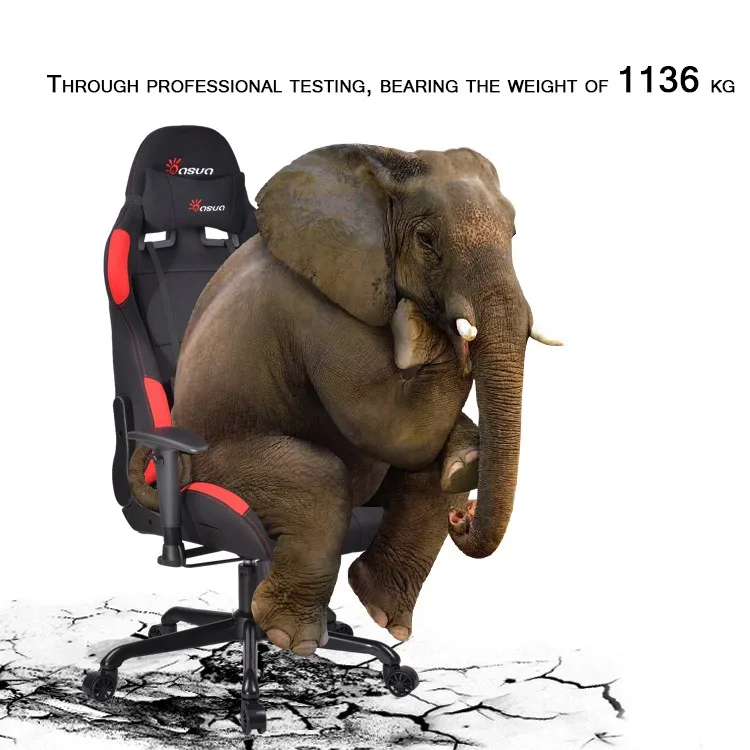 Chaise Installer Sur Un éléphant En Asie