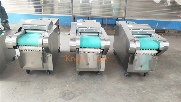fruit cutting machine.jpg