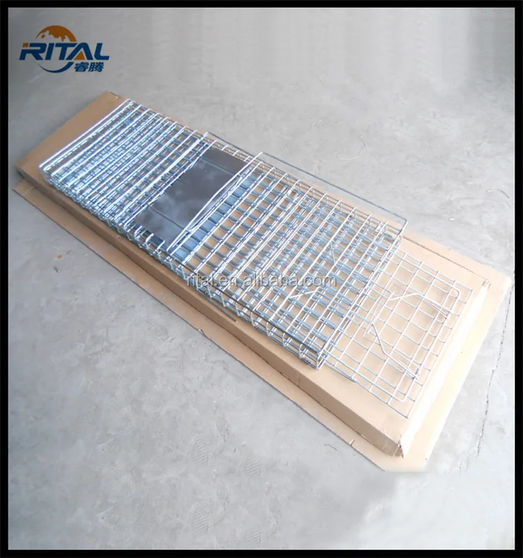 How To Make Trap Wildlife Live Possum Rabbit Fox Cat Squirrel Trap Cage For Sale Buy Live Squirrel Trap Fox Trap Cat Trap Product On Alibaba Com