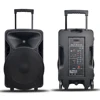 Accuracy Pro Audio CMYT15BR-V1BP-BT 15'' Outdoor Bluetooth Wireless Rechargeable Speaker