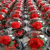 Best Real Preserved Rose In Dome With Good Security For Sale