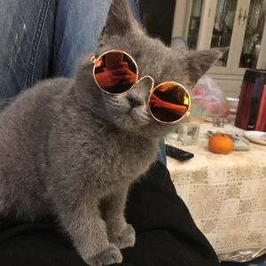 Image of Funny Pet Sunglasses Classic Retro Circular Metal Sunglasses for Cat or Small Dog