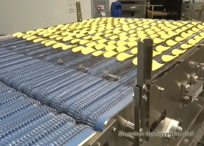 
Industrial food fruit vegetable conveyor mesh belt dryer vacuum belt dryer 