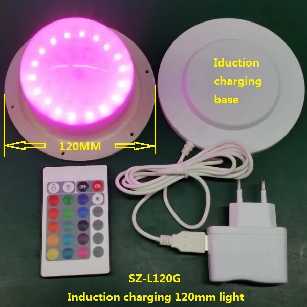 Induction light 600.jpg