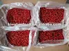 dried cherry