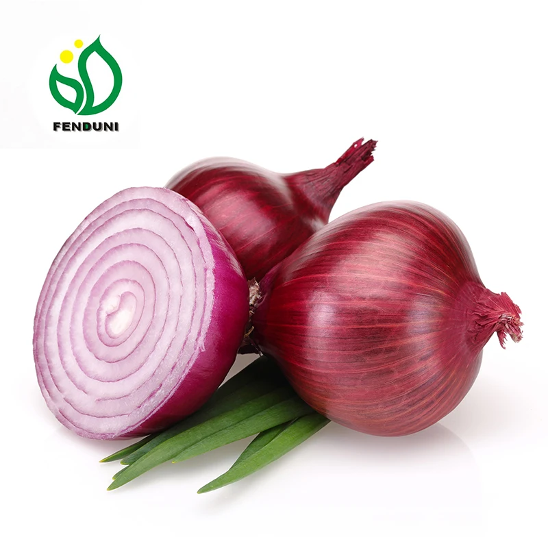 
Fresh Red Onion 