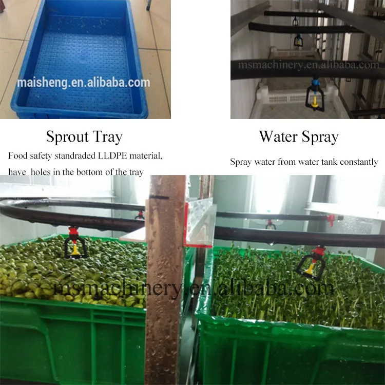 Garlic sprout machine