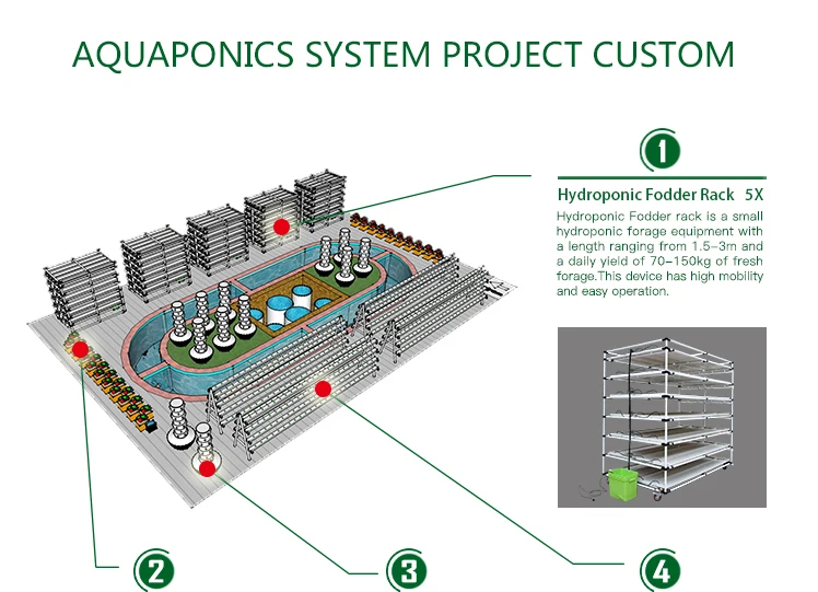 aquaponics system (3).jpg