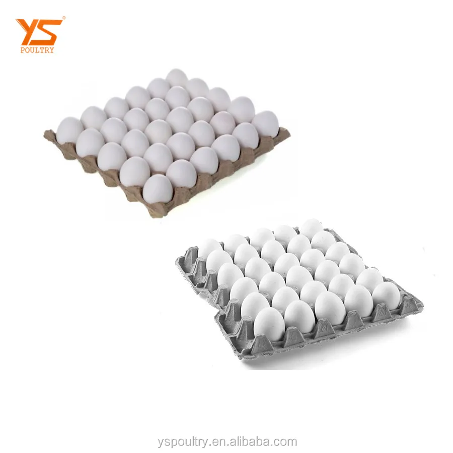 
3D Stockable Egg Tray For Optimum Egg Protection 