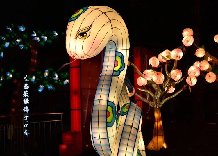 中国丝绸蛇灯笼中国十二生肖动物灯笼防风雨防锈