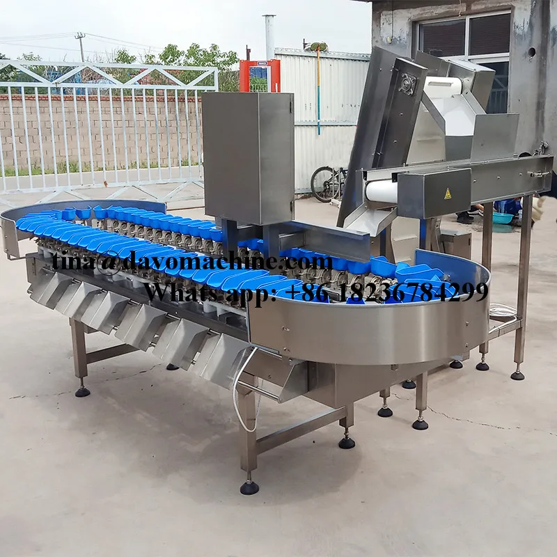 sorting machine 12.jpg