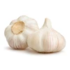 Japanese Pesticide Free Garlic Powder Wholesale Bulk