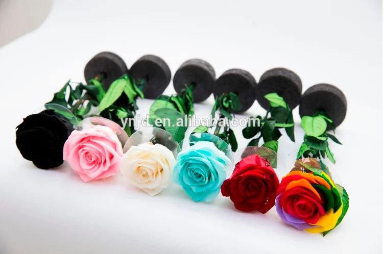 
Top Quality Preserved Stem Rose for Home Decoration or Wedding Decoration 
