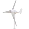 small 100 w/200 w/300 w/400 w wind turbine generator for sale