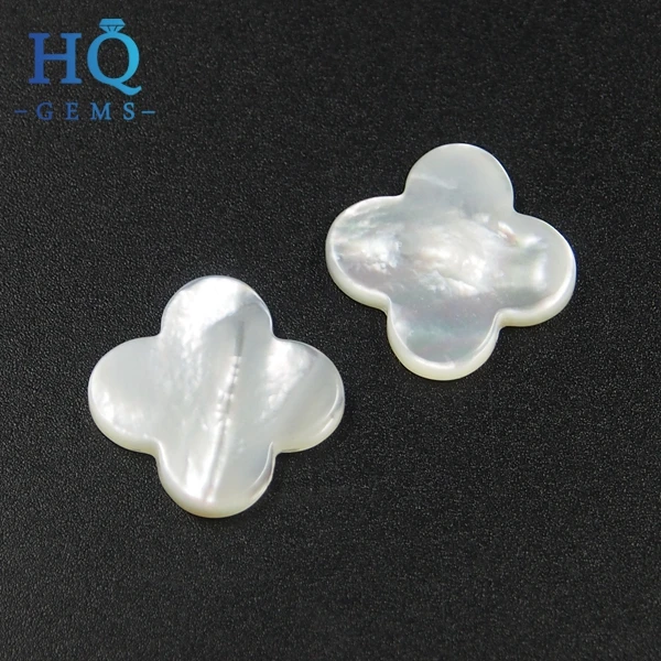Shell (3)