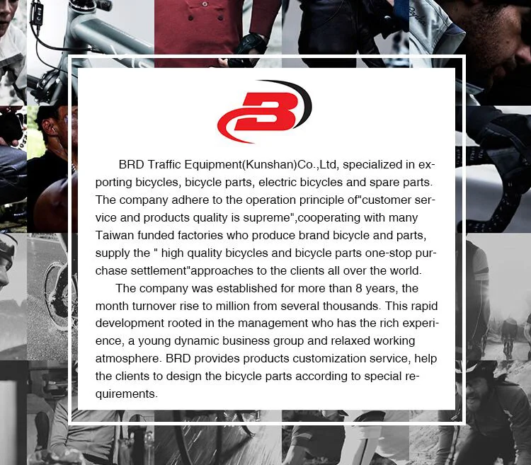 BRD-Company4_01.jpg