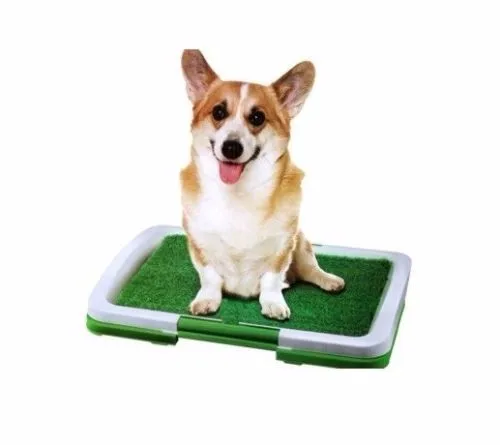 Puppy Potty Grass Mat Dog Trainer Indoor Pee Pad Training Patch