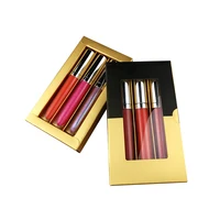 

Private Label Vegan Makeup Lipgloss 3pcs/lot Lip Gloss Set