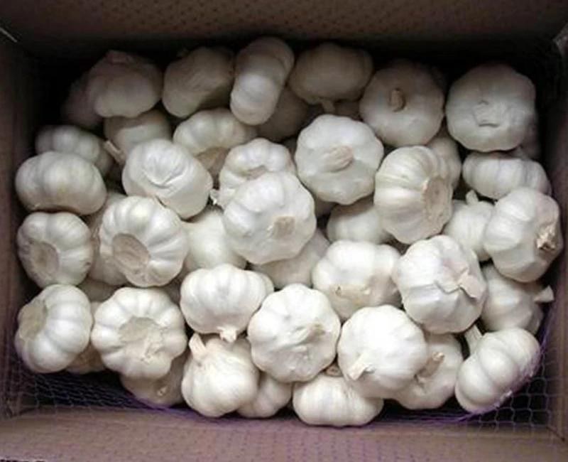 chinese 3p pure white garlic