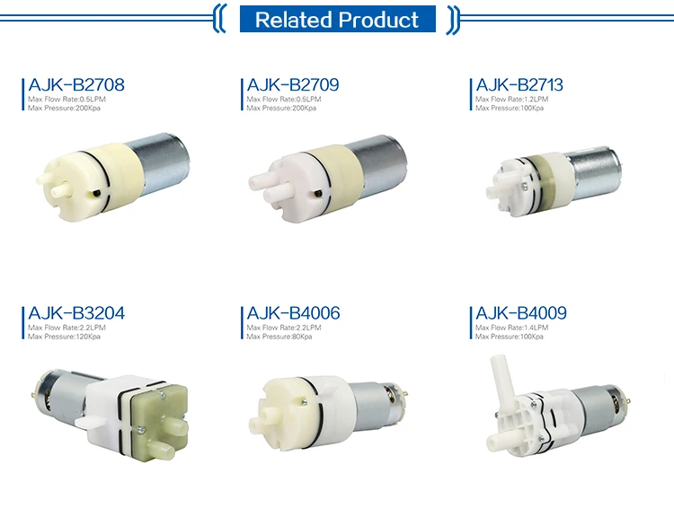 Super mini 6V/12V/24V high pressure small water pump