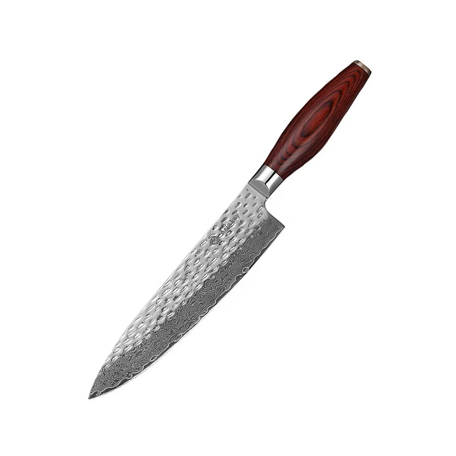 

8 Inch Professional Damascus Steel VG10 Chef Knife, N/a