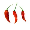 Stemless dried hot chillies for cooking recipes