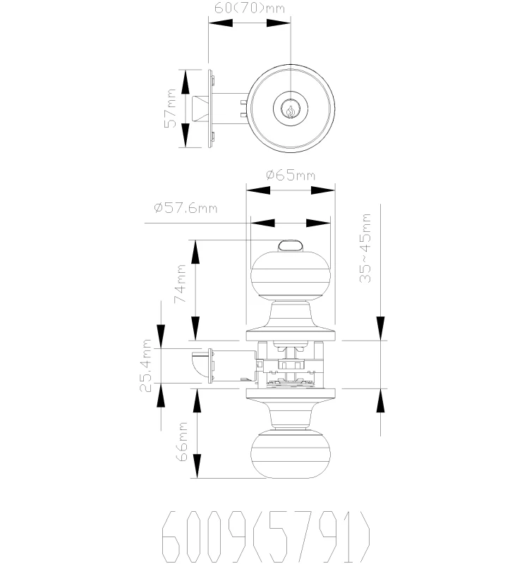 6009