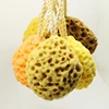 Non latex hydrophilic polyurethane scrub and massage soft bath sponge